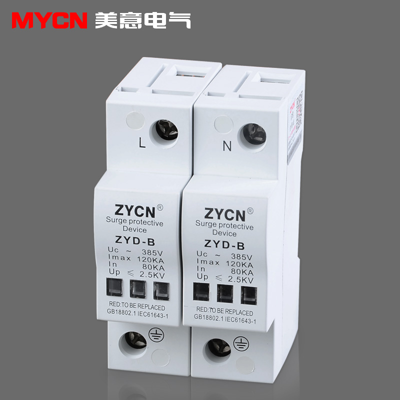 B级2P单相电源防雷器 防浪涌保护器 避雷器 家用 220V 80KA-120KA