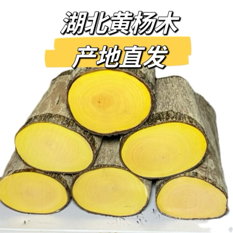 高山黄杨木产地湖北大叶黄杨木雕刻工艺品摆件笔筒家具底座镶嵌
