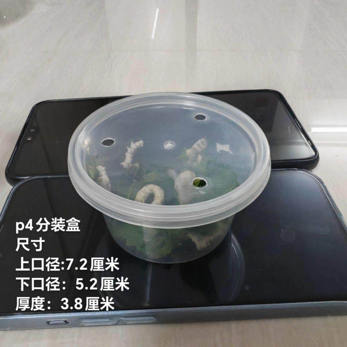 带孔分装盒蟹小乌龟透气孔小盒小宠物摆摊盒子蚕宝宝塑料盒有孔