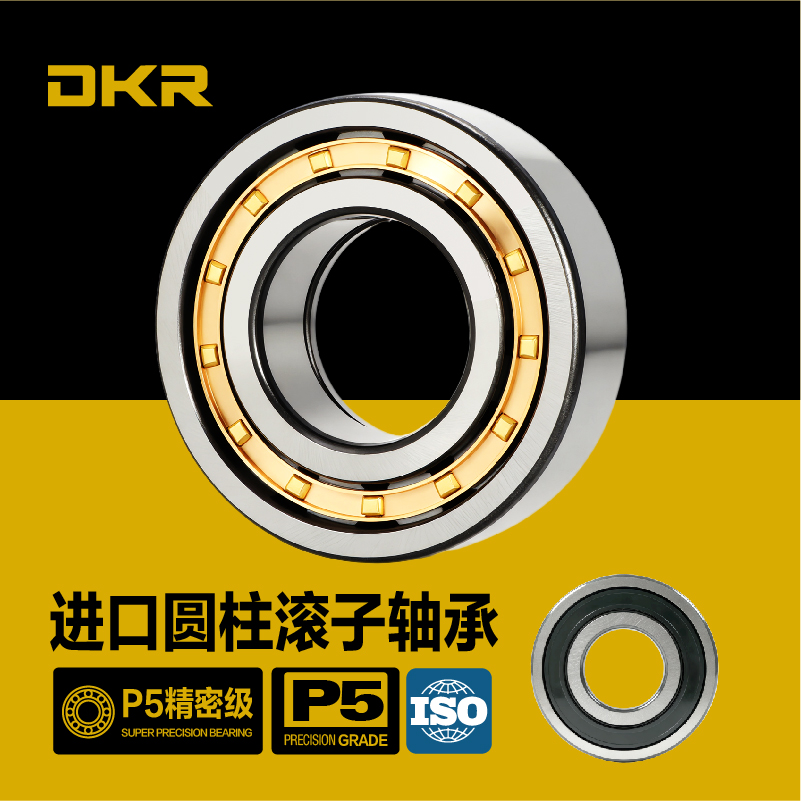 DKR德国圆柱滚子轴承NU303NJ304N305NF306NUP307RN308 309M310EM