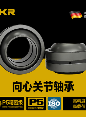 DKR德国向心关节轴承GE5 6 8 10 12 15 17 20 25 30 35 40E45ES50