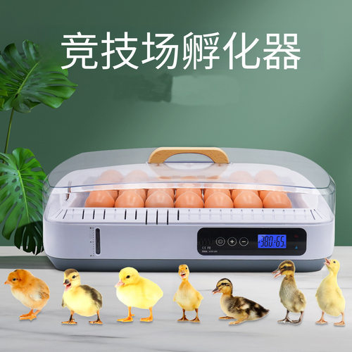 全自动智能小型孵化器家用鸡蛋孵化机迷你孵蛋器鸡鸭鹅种蛋孵化箱