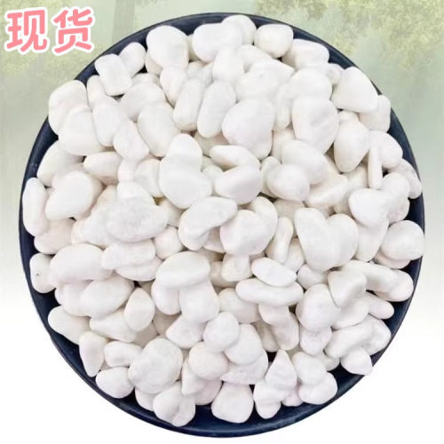 白色石子铺地造景铺路景观小白石头白石子50斤装庭院大鹅卵石石子