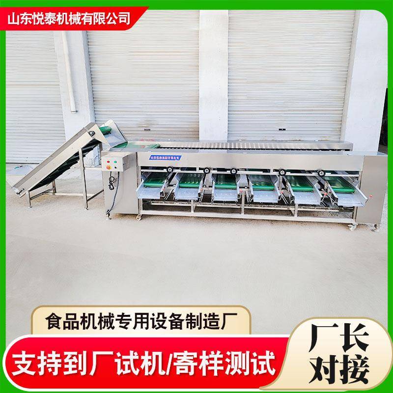 柠檬猕猴桃油桃滚杠分选机圆葱土豆分级设备果蔬大小分选机