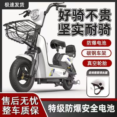 2026新新国标电动车成人两轮电动自行车小型电瓶车新款双人代步车