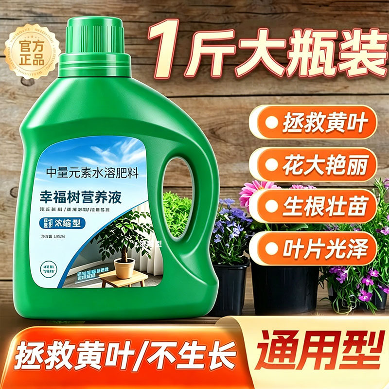 幸福树专用营养液花肥料植物浓缩型幸福树专用肥绿萝盆栽室内家用