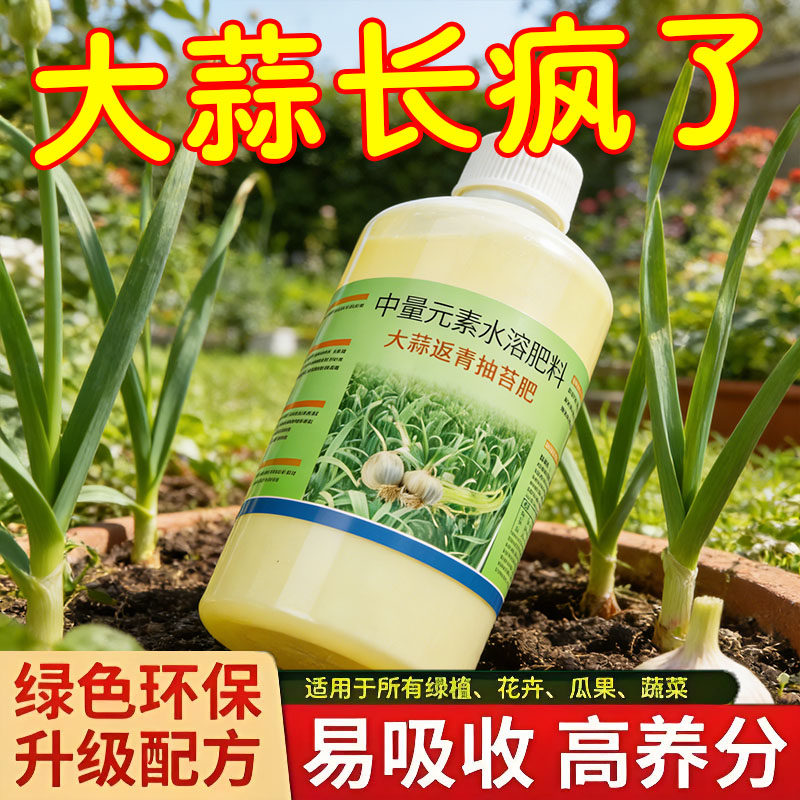 特惠款大蒜专用增产高产叶面肥