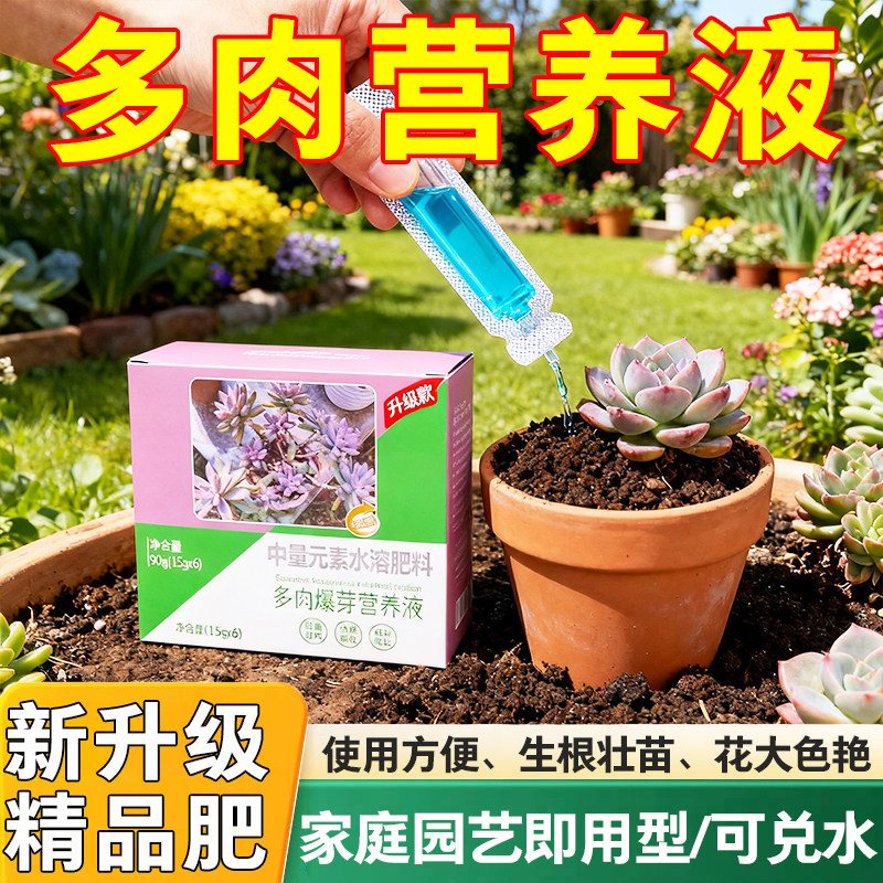 多肉肥料专用营养液增色增肥