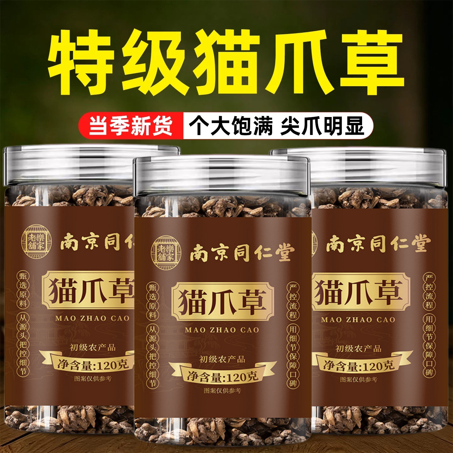 南京同仁堂岳家老铺猫爪草中药材正品官方猫抓草茶非野生cc
