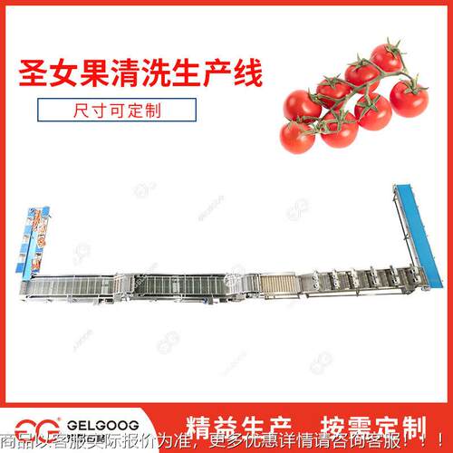 全生自动洗果机 番茄西红柿千HJL-QX禧果清女洗产线洗设备 圣果清