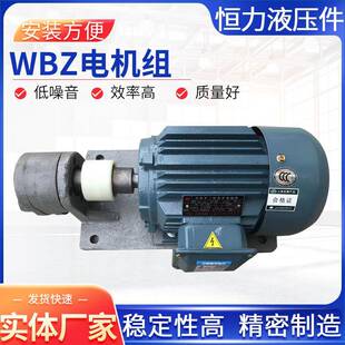 三相异步电动机WBZ卧式液压齿轮泵电机组大功率齿轮减速电机
