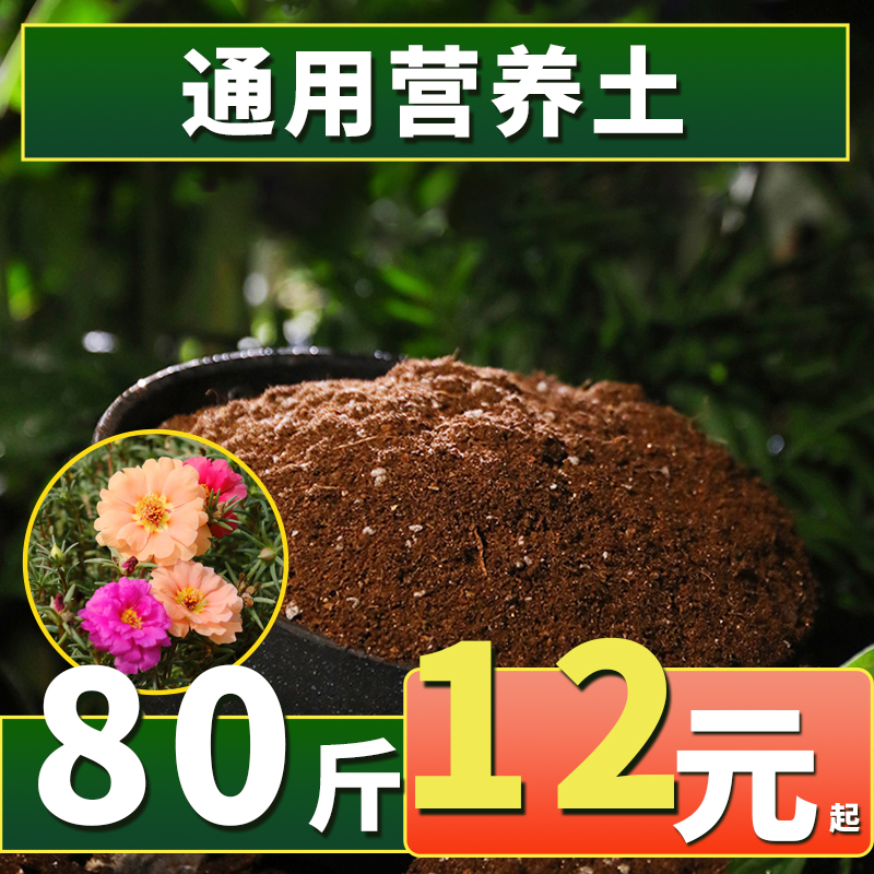 营养土通用土壤种植蔬菜发酵育苗