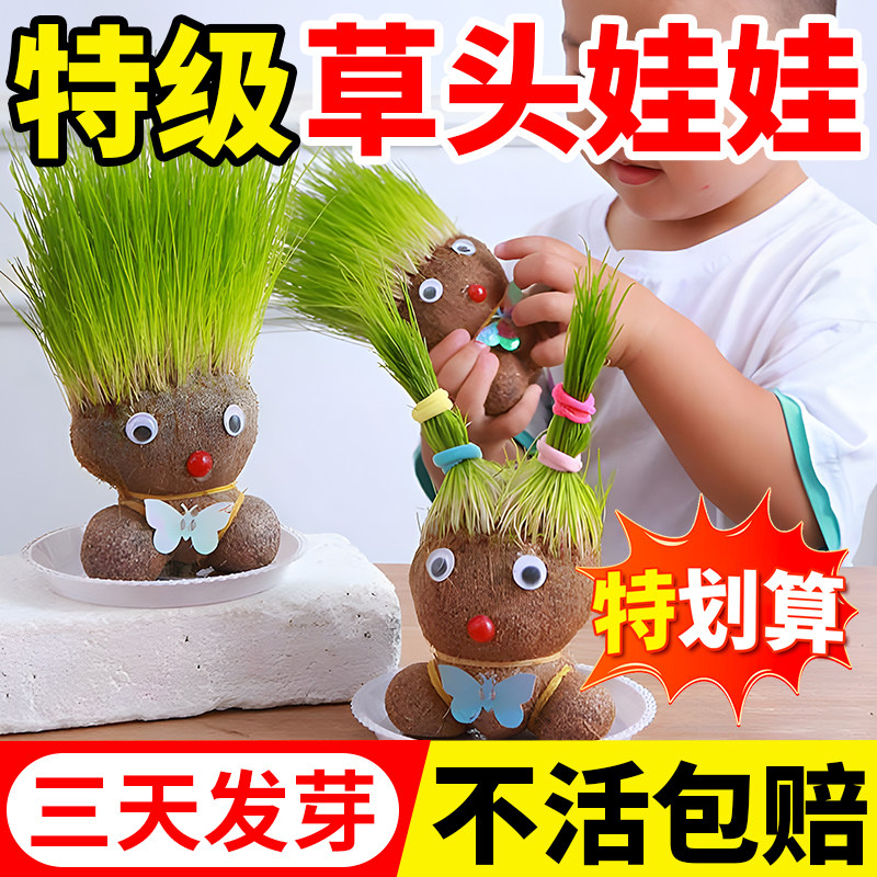 草头娃娃浇水头上长草人绿植长头发儿童好养种草幼儿园桌面小盆栽