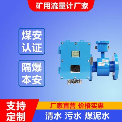 RS485输出本安型流量计LZD127/50G矿用煤泥水流量计传感器