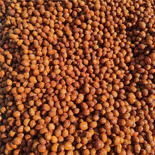 东北野生桃核原料散籽颗粒新核小桃核山桃核枕头填充拍打袋新品高