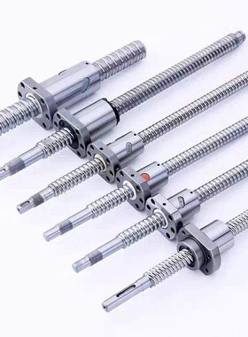 丝杠LCY49-32-10-L300-F33-P20