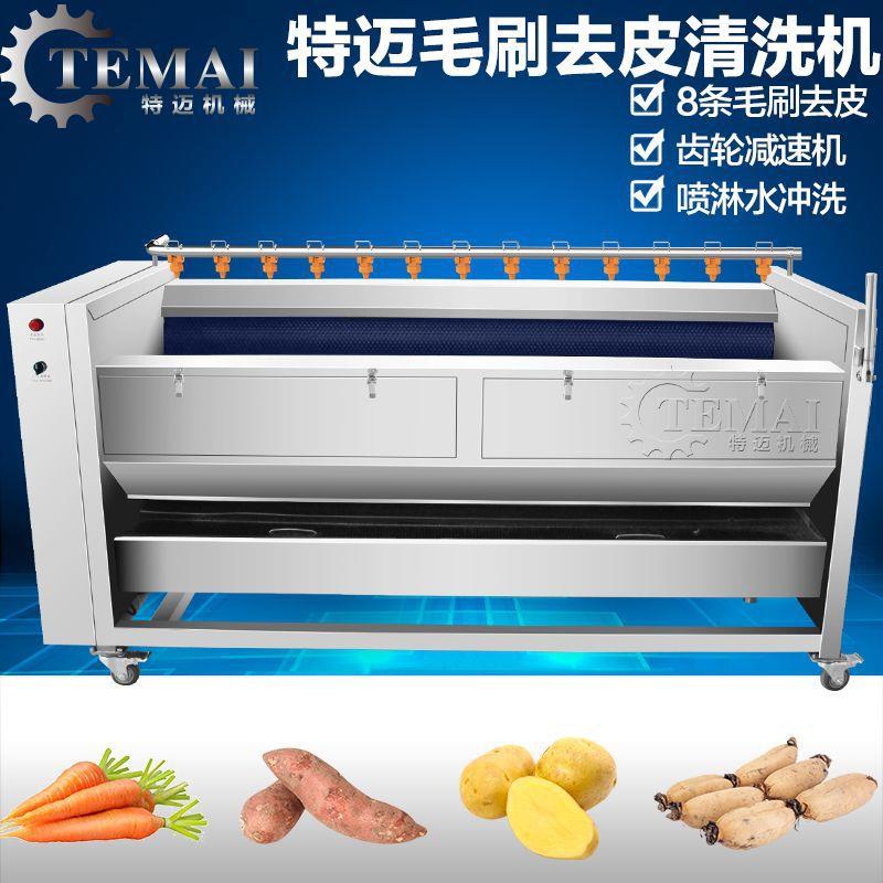 现货销售草药白蔹苍术清洗机小人参毛刷清洗去皮机大型洗药机