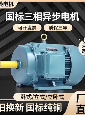 三相异步电动机YE3-315M-690W6P(90千瓦6极)电机大功率