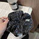 韩国时尚 气质马尾皮筋弹力耐用头绳 高级感印花大肠发圈女2025新款