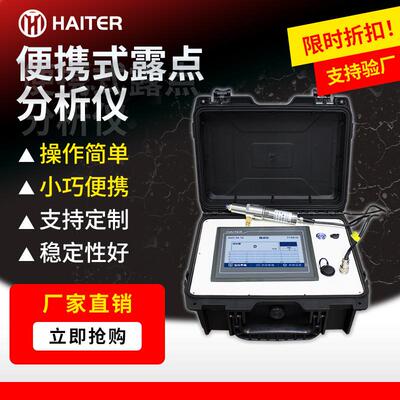 露点仪便携式气体微量水分在线检测仪露点变送器PPM级