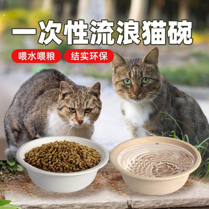 流浪猫一次性喂猫碗懒人环保可降解纸碗户外猫食盆流浪狗狗救助碗