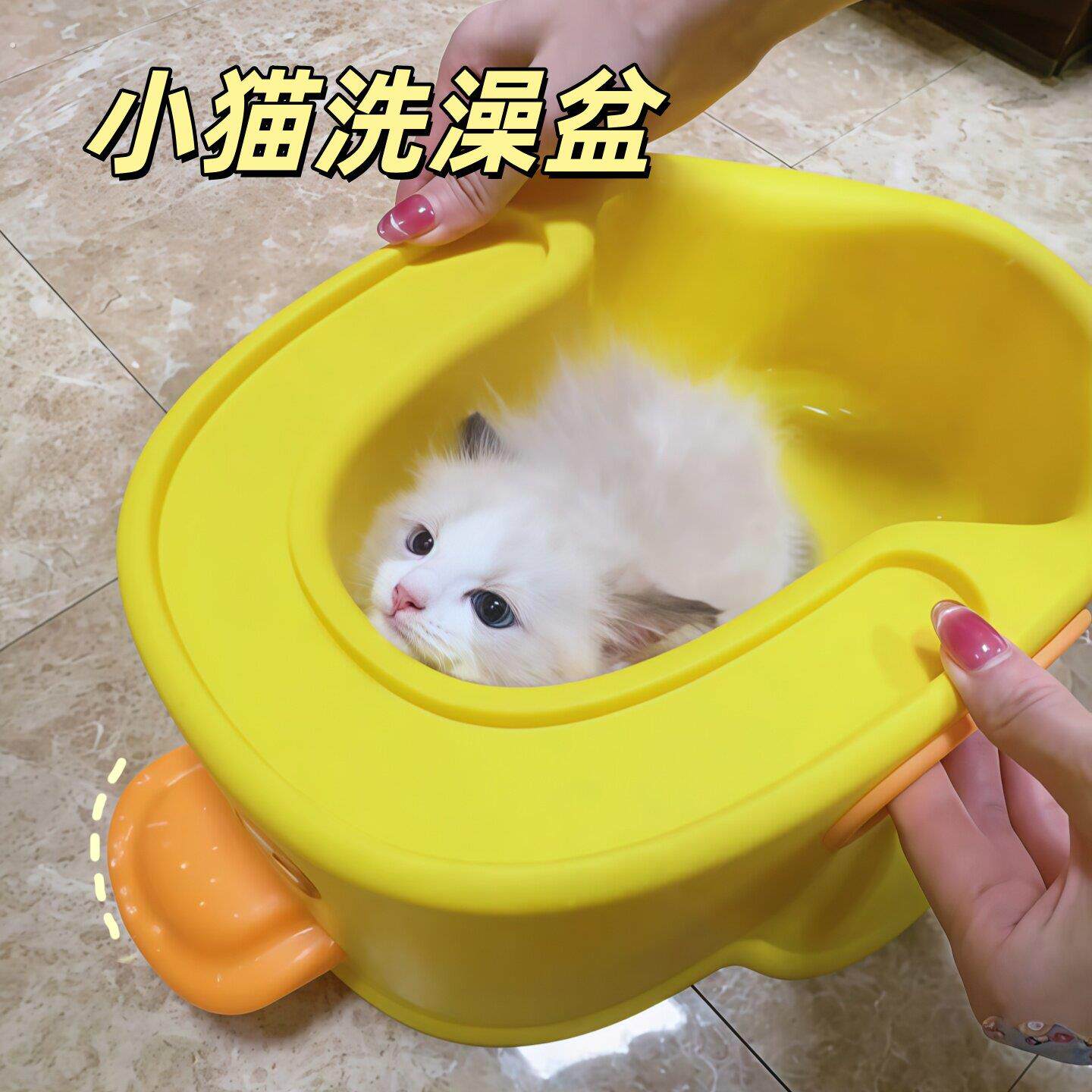 宠物洗澡盆狗狗猫咪洗澡工具小型犬浴盆泡澡桶防侧翻浴缸宠物用品