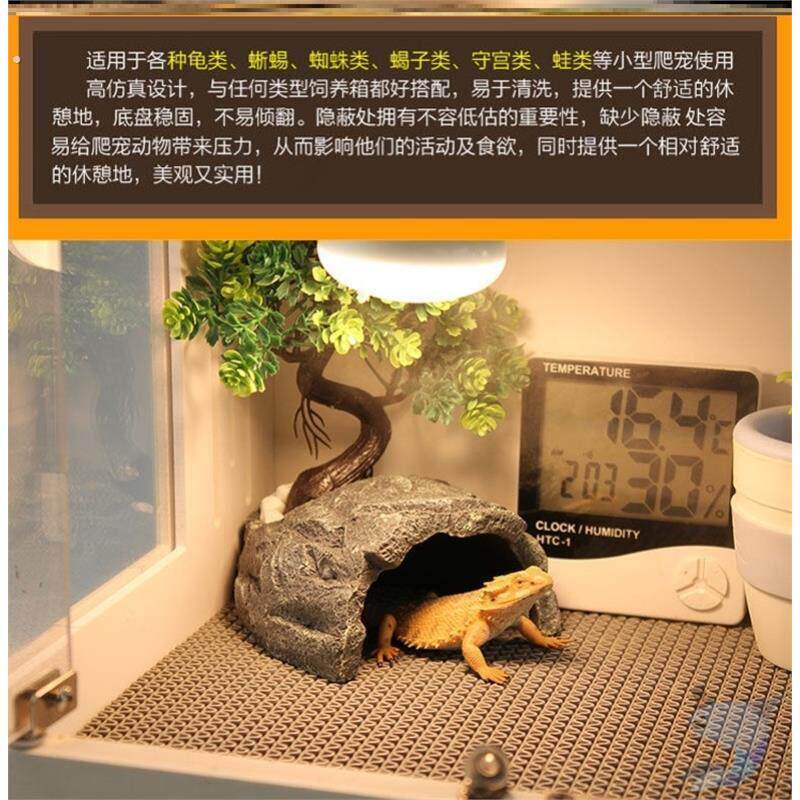 蛇真石头鬃狮守宫躲避屋造景椰壳迷你攀爬刺猬甲虫蝎子洞穴角蛙