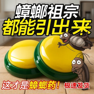 厚生蟑螂药老牌子杀虫饵剂蟑螂屋方便贴家用杀灭蟑螂强效灭杀