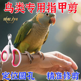 【鸟类指甲剪】鸟嘴爪子鸟用指甲剪防飞溅锋利安全喂水器嘴钳