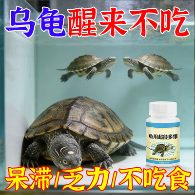 乌龟超能多维电解多维乌龟专用治白眼病腐皮烂身烂甲不爱吃饭通用