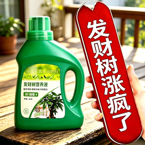 发财树通用免稀释防黄叶营养液