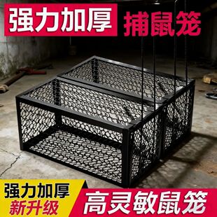 【一触即发】自动捕鼠器端室内家用扑捉抓驱老鼠夹子强力捕鼠笼