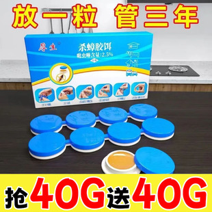 强效蟑螂药杀蟑饵剂家居商用宿舍杀灭神器蟑螂蚂蚁药无毒诱饵蟑螂