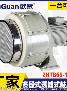 2HTB65-1005 吹吸两用透浦式鼓风机 气体输送多段式中压风机