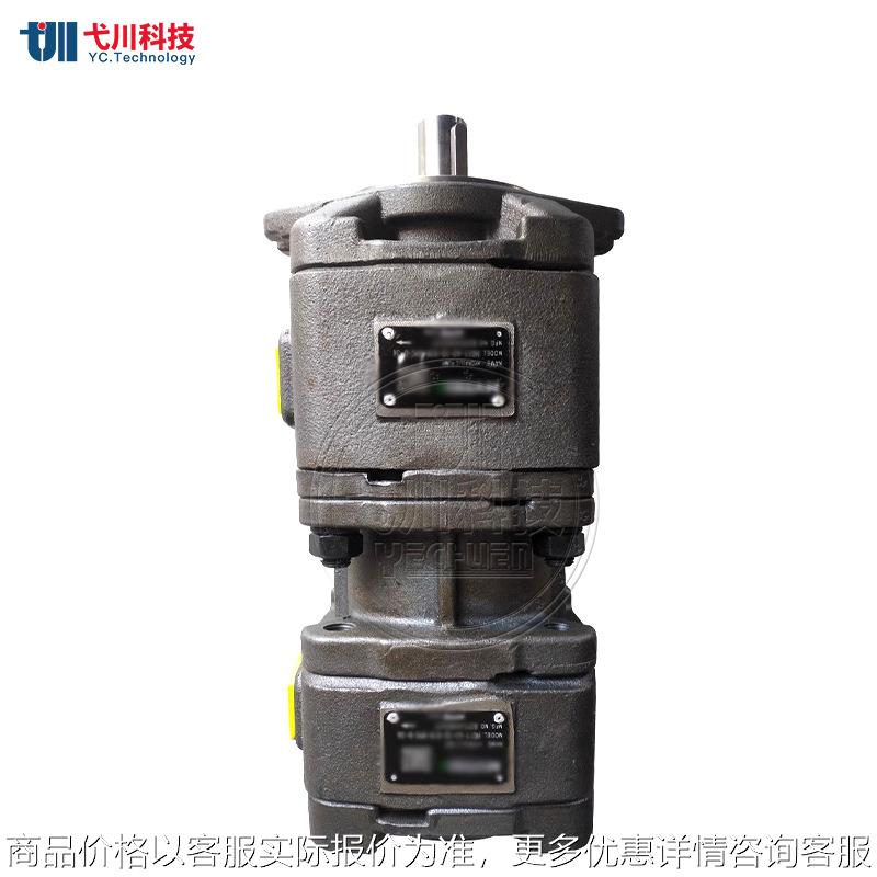 海特克款内啮合齿轮泵HG0/1/2-81 20 16 25HYTEK液压双联伺服油泵