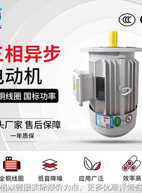 6极三相异步电动机 YE3-80M1/M2-6电机0.37W/0.55W 380V马达