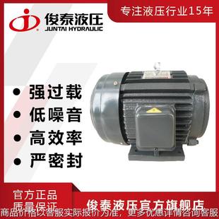 三相交流异步电机液压动力单元 现货 0.75 俊泰 电机1