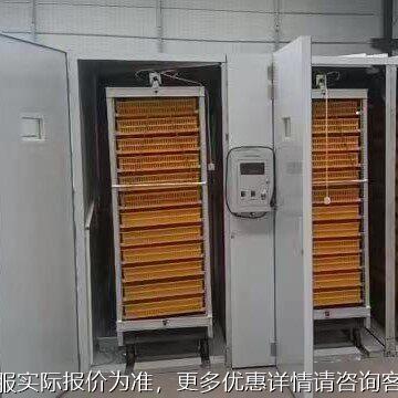 全自动大型4禽848孵机火鸡孵SME化机狮化头鹅蛋孵化器孵家化设备