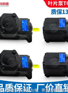 丹尼逊T6C/T6D/T6EC/T7DBC 050 DENISON款派克双联液压油泵