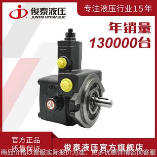 广东俊泰 低压液压系统油泵铸铁 VP20/08/12/15 变量叶片泵厂家
