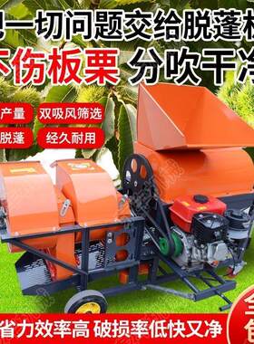 2026新款家用双风机板栗