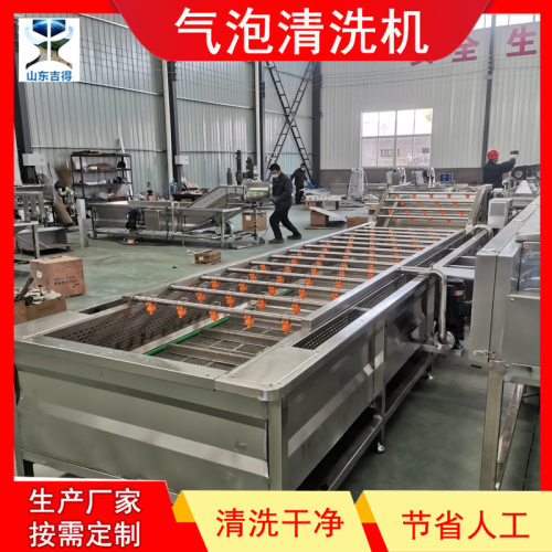 现货款仙人掌果气泡清洗机 海南仙桃去杂质泥沙机 圣女果设备厂家