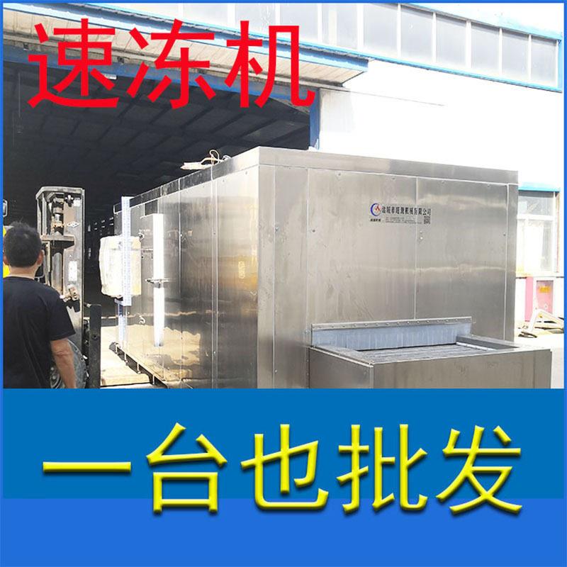 山珍速冻机 蘑菇冻机 东北蘑菇速冻生产设备 流态化不粘连