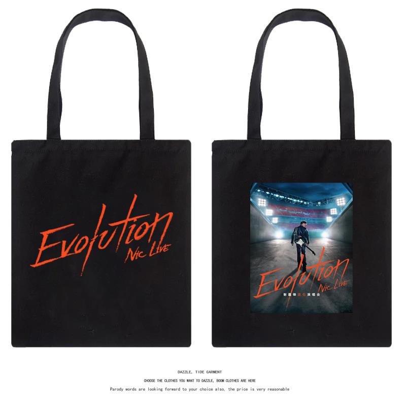 谢霆锋2025进化演唱会周边帆布包包时尚单肩包应援休闲手提购物袋
