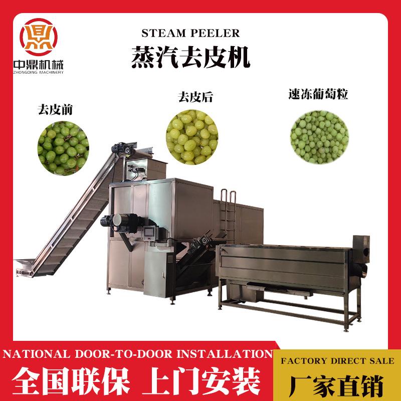 葡萄蒸汽物理去皮机速冻葡萄粒加工设备全线带速冻葡萄生产工艺
