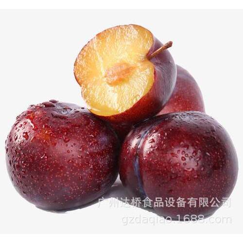 DQ达桥工业型三华核李脆骨李去捅核机RXT李子商用自动化机设果备