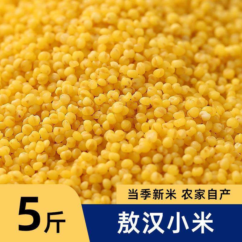 新货2025年新敖汉黄小米新