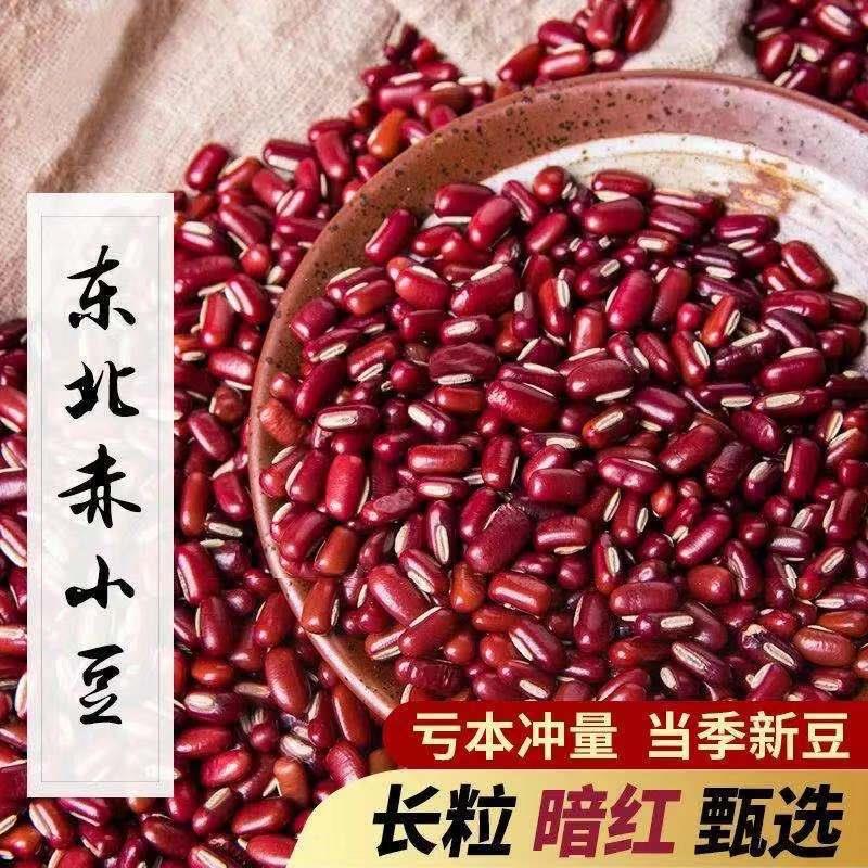 新东北赤小豆60斤农家新货