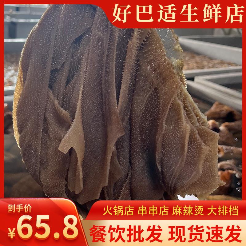 新货毛肚新鲜整个牛百叶牛