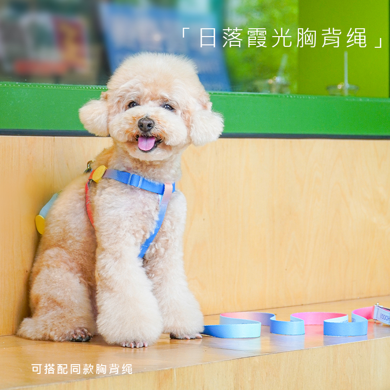 【品牌首选】狗狗幻彩胸背带